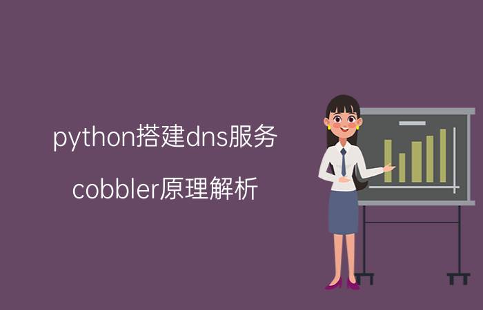 python搭建dns服务 cobbler原理解析？